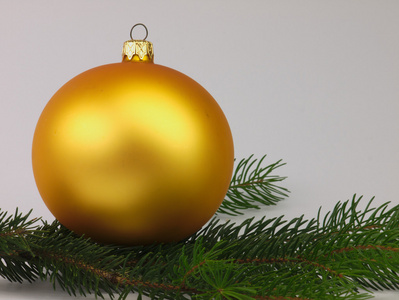 金摆设圣诞树用绿色的树枝