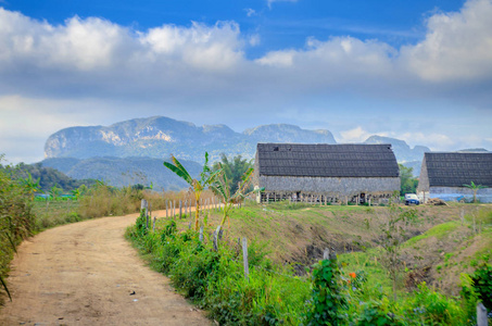 vineales, 古巴农村烟草农场, 通往种植园主的道路