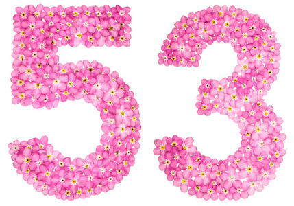 不是很多阿拉伯语数字 53, 五十三, 从粉红色忘记-我-不是花, 孤立的