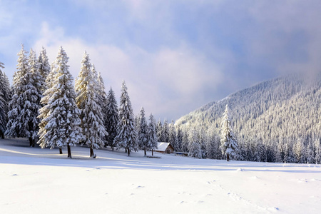 在被雪覆盖的森林中的高山上, 有一个孤独的旧木屋, 草坪上和后面的森林里站着栅栏