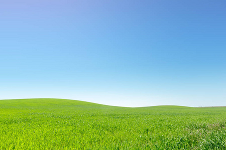 劈叉蓝天白天图片