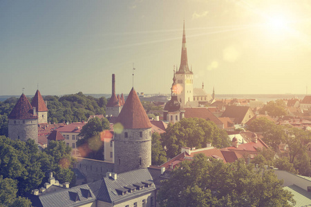 鸟瞰旧城屋顶和圣尼古拉斯教堂 Niguliste 的观景台。塔林。爱沙尼亚。色调