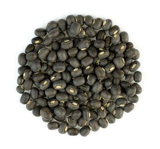 黑色乌拉特 dal 扁豆豆被隔绝反对白胆汁中