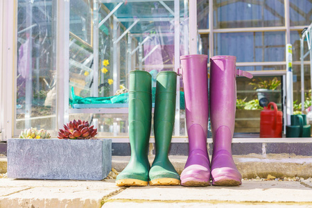 关闭一双紫色和绿色的惠灵顿靴子站在花园的绿色房子外面