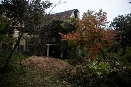 美丽的风景村庄房子与树在森林在秋天, 阿塞拜疆农村