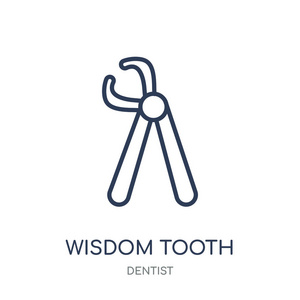 智齿图标。从牙医集合的智齿线性符号设计。简单的大纲元素向量例证在白色背景