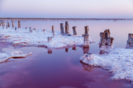 玫瑰盐湖 Sivash 生产和盐和治疗泥浆。乌克兰赫尔松地区