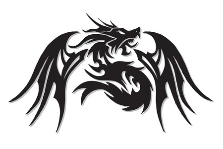 鳞翅类动物龙翅照片