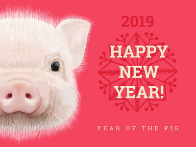 新年快乐2019年的猪纸卡。中国年象征, 生肖贺卡, 传单和请柬