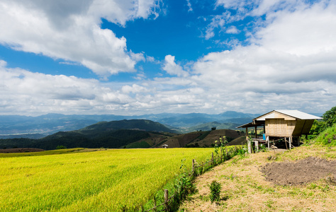 在泰国北部，Pa pong 小屋，蒋梯田