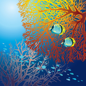水下生活鱼类和珊瑚