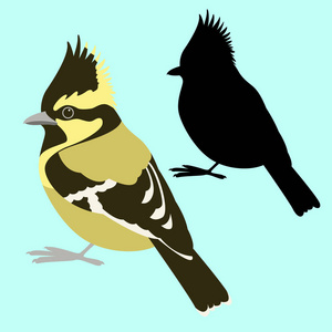 喜马拉雅山雀鸟矢量插画平面式黑色剪影