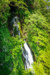日本日航中禅寺湖湖附近的华严瀑布景观