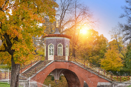 美丽的秋天风景与 Krestovy 桥梁和日落太阳在圣彼得堡普希金, 俄国的郊区