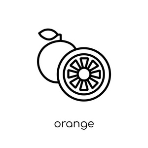 橙色图标。时尚现代平线性向量橙色图标在白色背景从细线果子并且蔬菜汇集, 概述向量例证