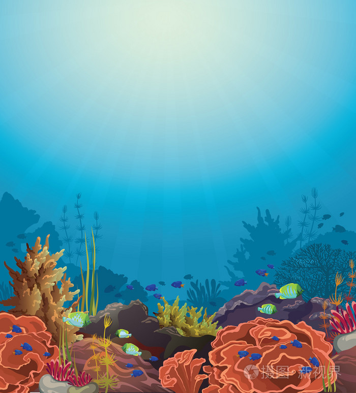 珊瑚礁和水下生物插画-正版商用图片08bfxh-摄图新视界