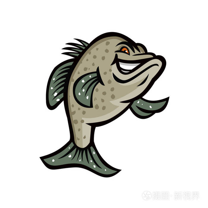 croppie, papermouths, 草莓鲈鱼, 斑点鲈鱼, 斑点, 斑点鲈鱼, 刺盖