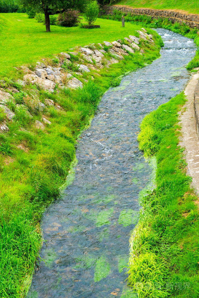公园小河和绿色草坪的特写