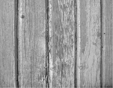 木制旧的去皮板。从树上的纹理。灰色背景