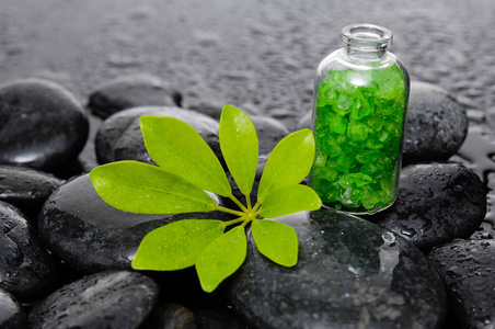 静物与禅石和绿色植物与盐在玻璃