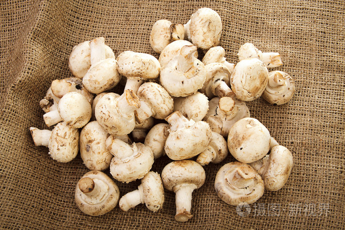 香菇被堆在麻布的背景