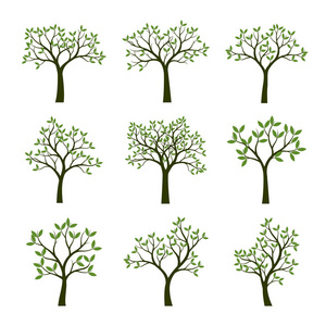 组的绿树的叶子。矢量图