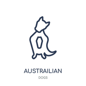 澳大利亚谢帕德狗图标。澳大利亚谢帕德狗线性符号设计从狗收藏。简单的大纲元素向量例证在白色背景