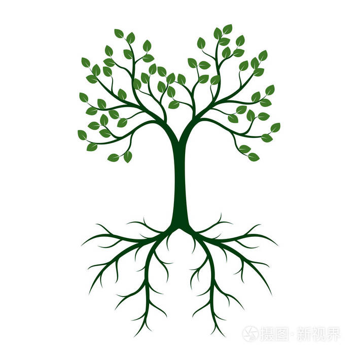 矢量插图.园林植物