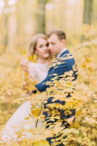 在新婚夫妇模糊的背景下, 树木发黄的树叶