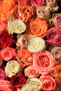 混合不同深浅的橙色和粉红色的新娘花束