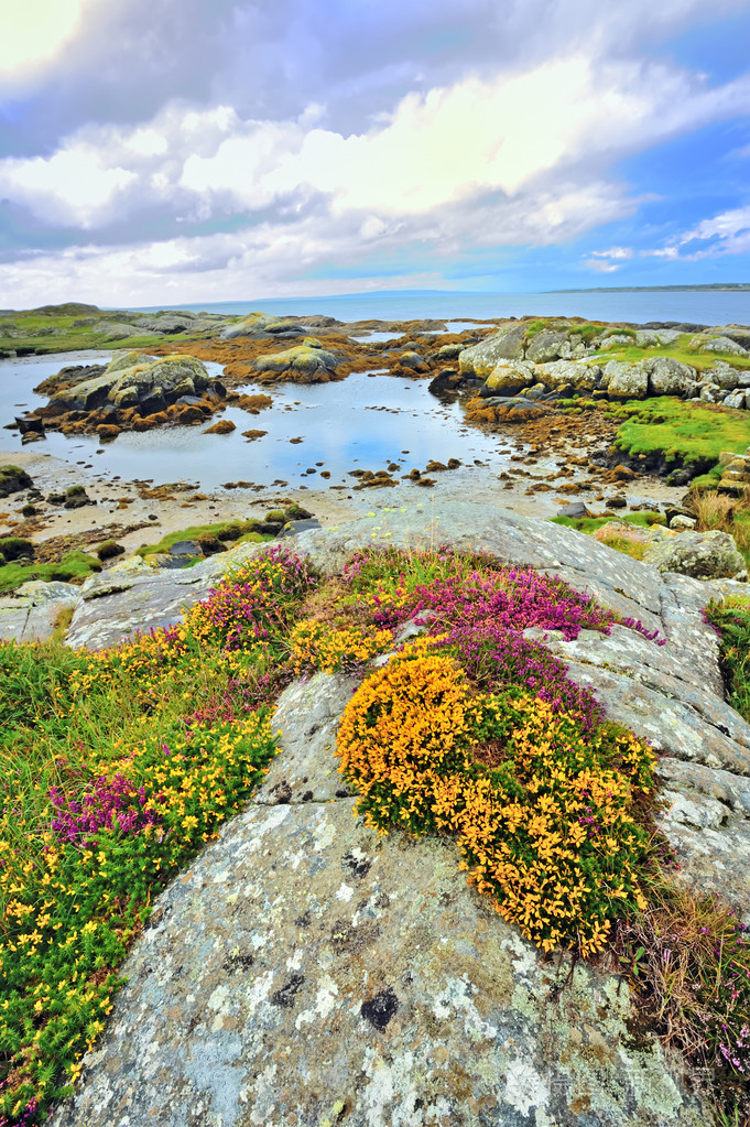 爱尔兰风景 hdr 拍摄在夏季时间