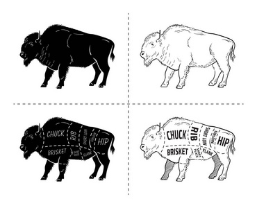 削减野牛设置。海报屠夫图野牛。老式印刷手工绘制
