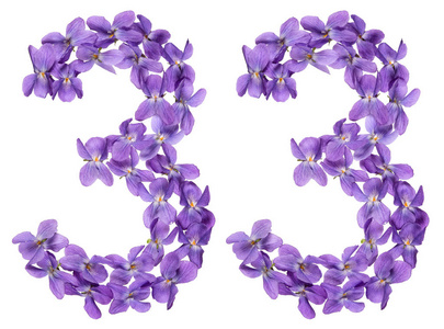 阿拉伯文数字 33, 三十三, 从中提琴的花, 被隔绝在白色背景上摄影图