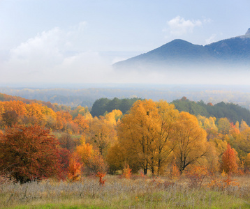 秋天的场面与雾中的山
