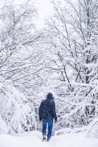 一个人偷偷穿过雪灌丛。冬天的森林和人。冬天。下雪