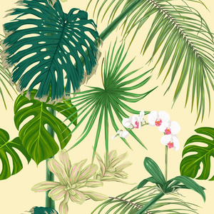 热带植物和白色兰花花。无缝的模式, 背景。没有渐变和透明度的彩色矢量图。软黄色背景