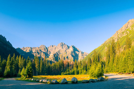 美丽的风景高山 Tatra 山在波兰的疆土, 射击在黎明