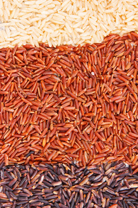 褐色, 黑和红色米作为背景, 健康的概念, 面筋自由食物并且营养