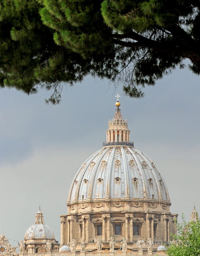 松与梵蒂冈圣伯多禄大教堂的圆顶