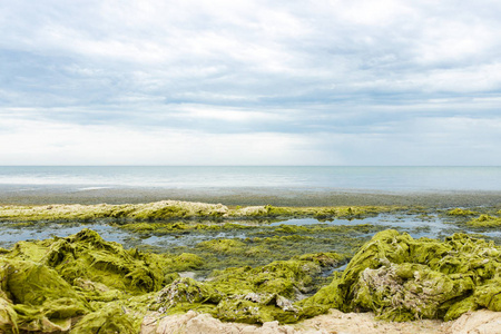 岩石与海藻在雨天的海浪, 灰色的乌云密布的天空。生态与自然灾害概念