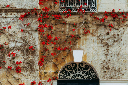 古老的马耳他房子与红色的叶子在墙上