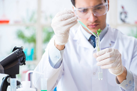 在植物实验室工作的男性生物化学家