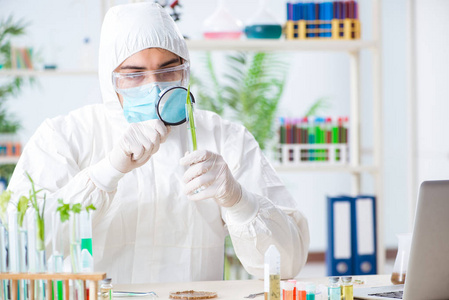 在植物实验室工作的男性生物化学家