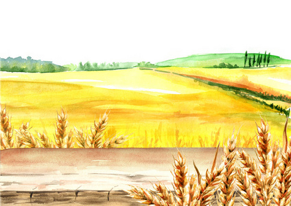 夏季乡村景观.水彩手绘插图, 背景为您设计照片