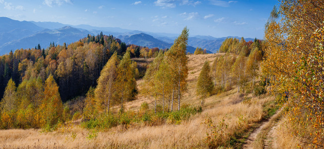 秋  景