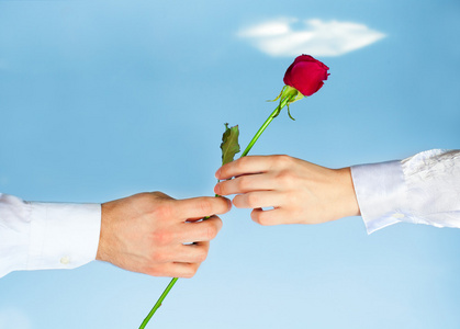 玫瑰给女人的男人的手