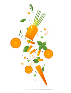 飞行新鲜胡萝卜和香料概念, 健康食物背景, 媒介, 例证