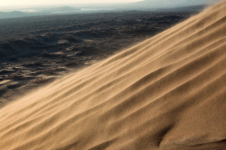 沙漠沙尘暴图片