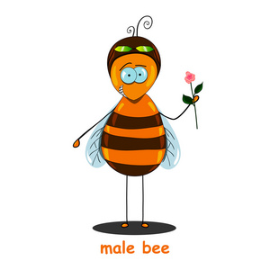 男性蜂