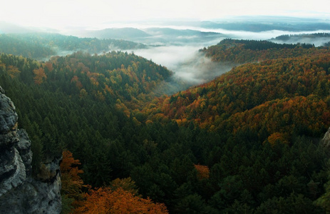 波希米亚萨克森瑞士美丽的山的日出。砂岩峰林和山雾的背景下，从增加雾是由于太阳光的橙色